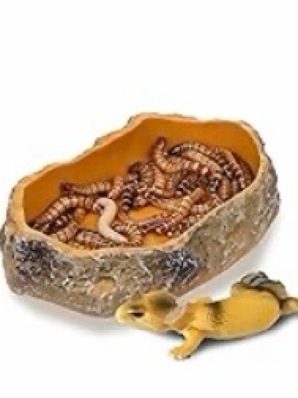 NIOB 5” Reptile Water/Feeding Dish. (Opened plastic just to snap pic)